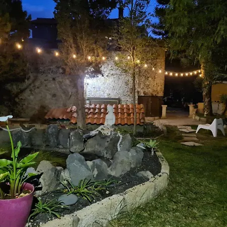 Tropical * Arico Viejo