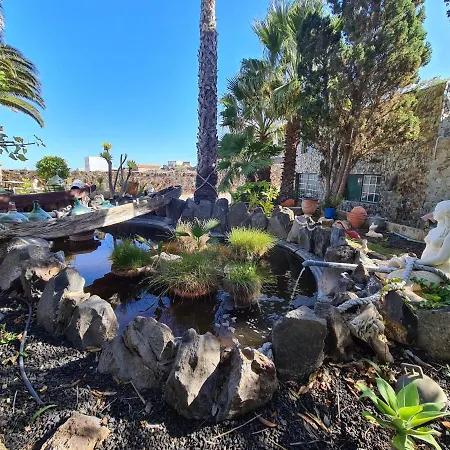 Tropical Apartament *