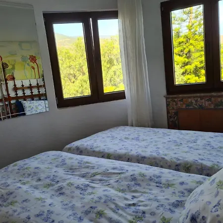 Tropical Arico Viejo