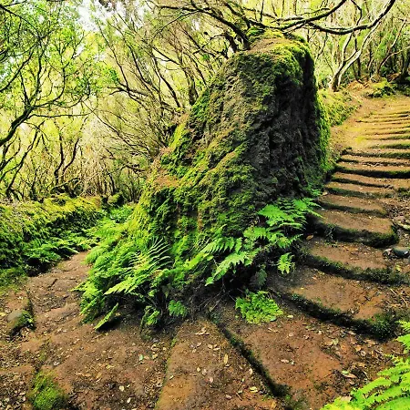 Apartament Tropical *