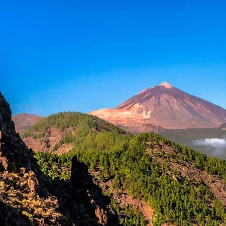 Tropical Apartament *