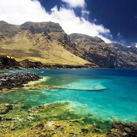 Tropical Apartament Arico Viejo