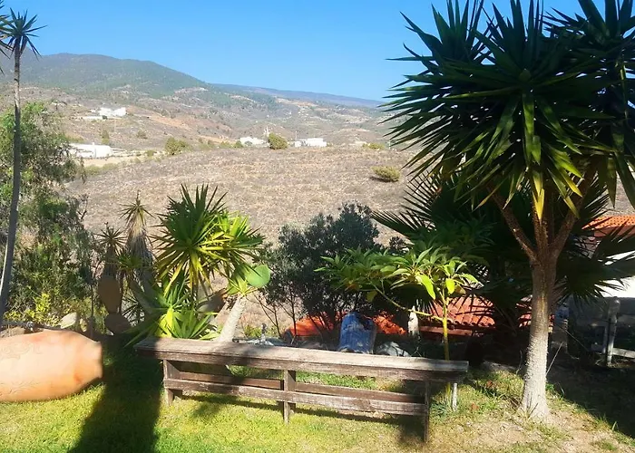 Tropical Arico Viejo