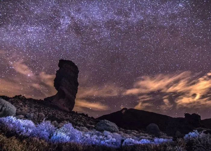 Apartamento Tropical Arico Viejo