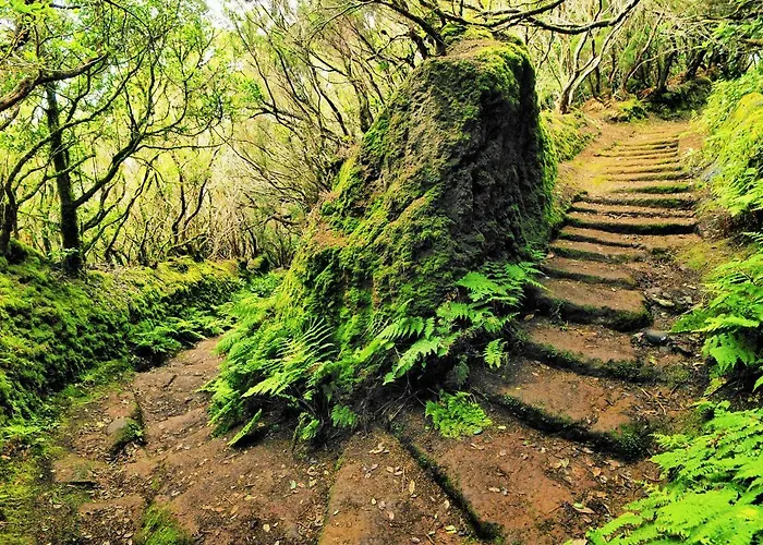 Apartamento Tropical *