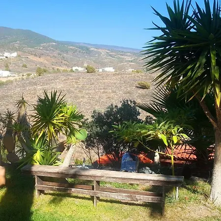 Tropical Arico Viejo