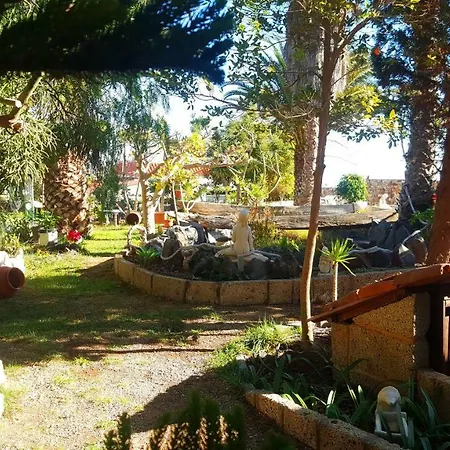 Daire Tropical Arico Viejo