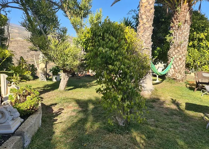 Tropical Apartment Arico Viejo