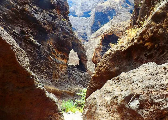 Apartment Tropical *