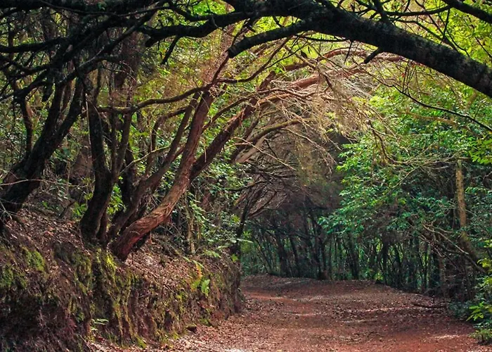 Tropical Apartment Arico Viejo