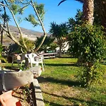 شقة Tropical